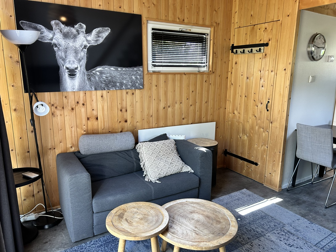 Kavel Tiny house 1 - Buitenhuizerweg 2-Velsen-Zuid - Afbeelding 5